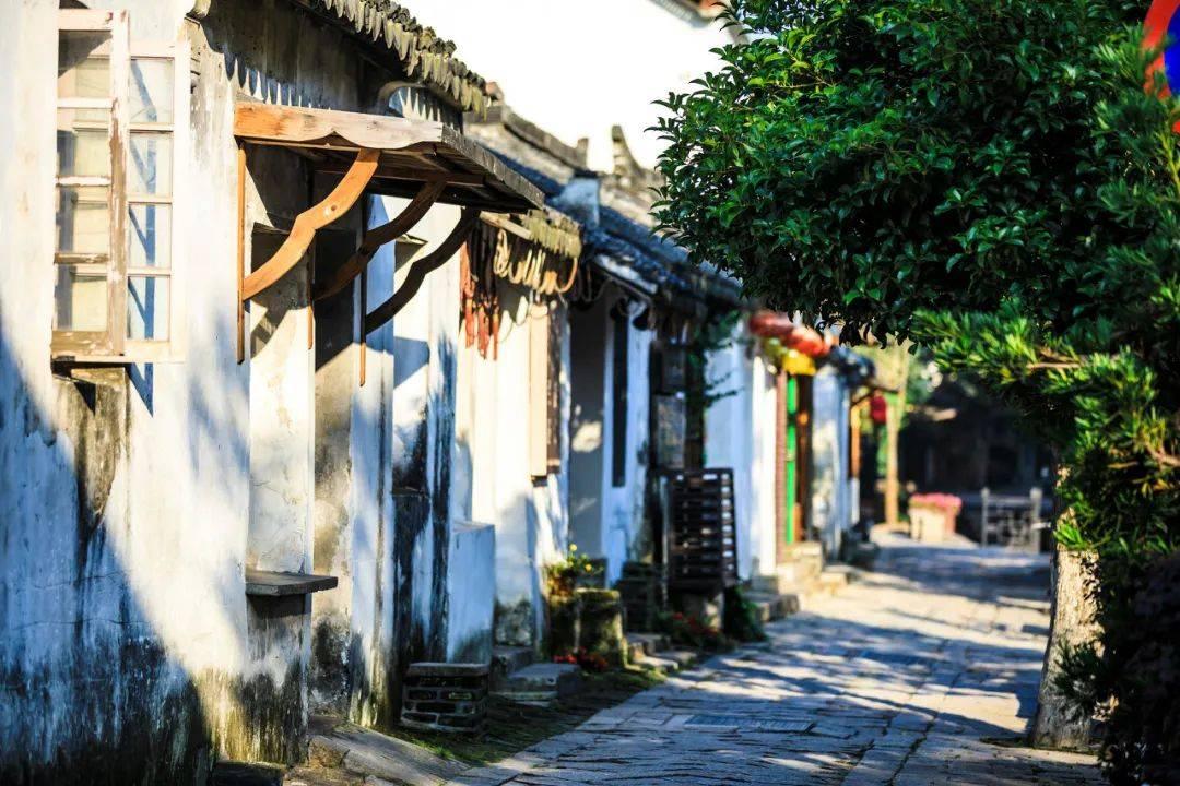 比亚迪：将与经销商伙伴共同在印尼全国开设50家门店